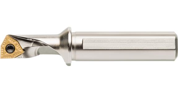 BOEHLERIT Klemmhalter PTR08-2,25-04 6406400